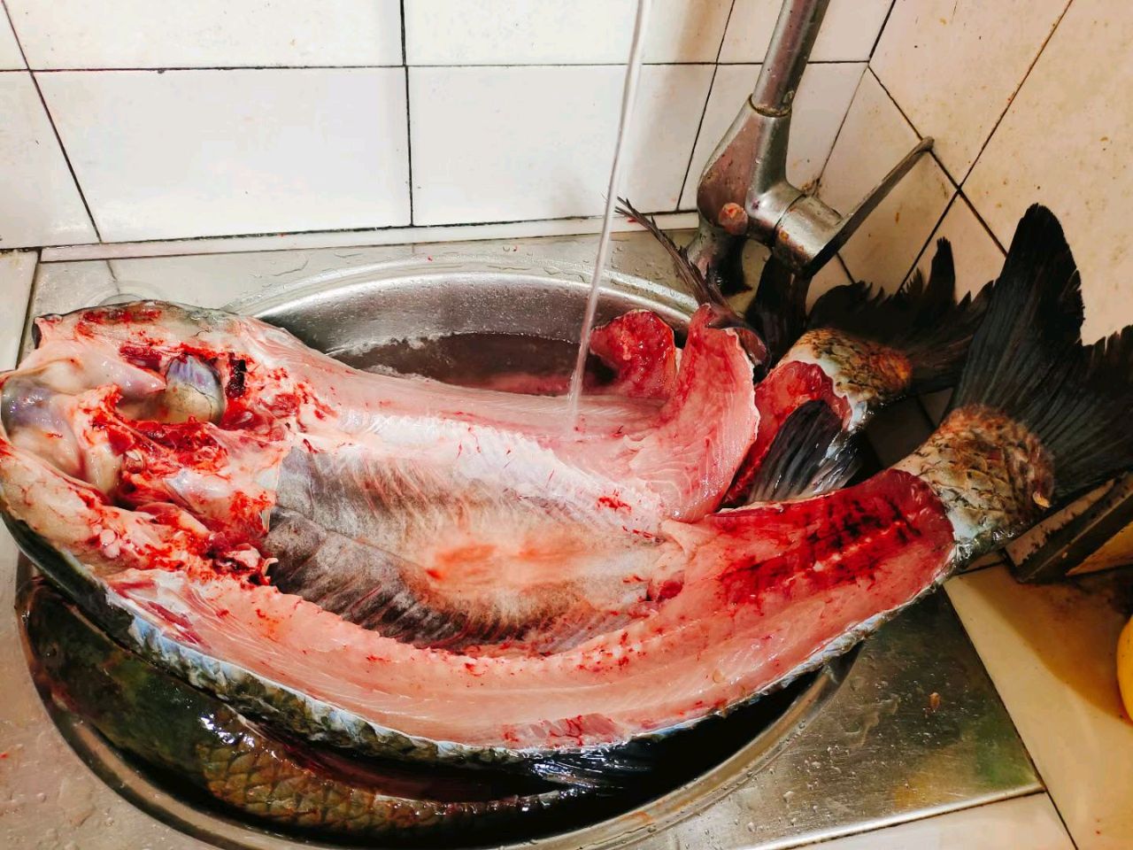 腊鱼