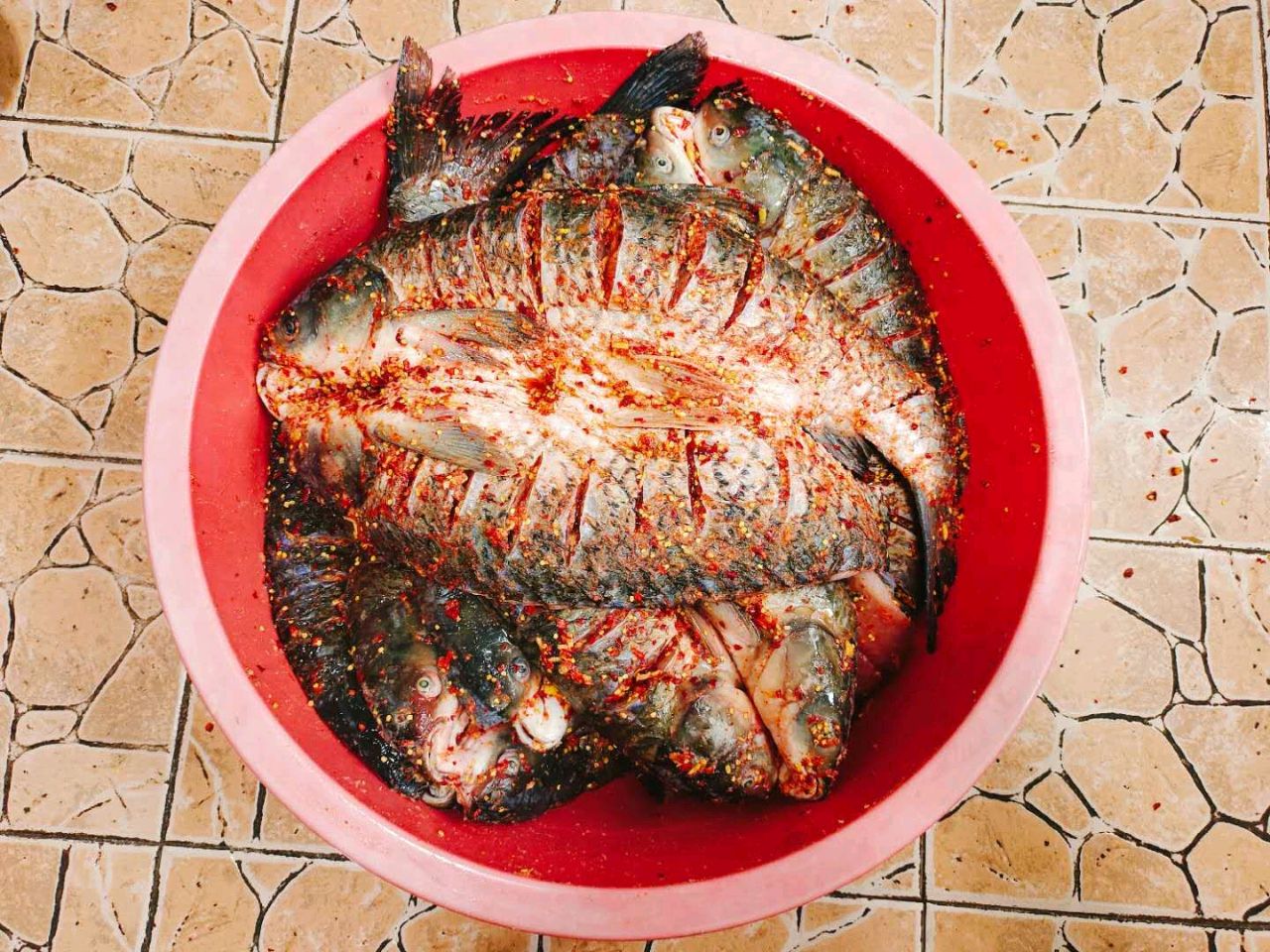 腊鱼