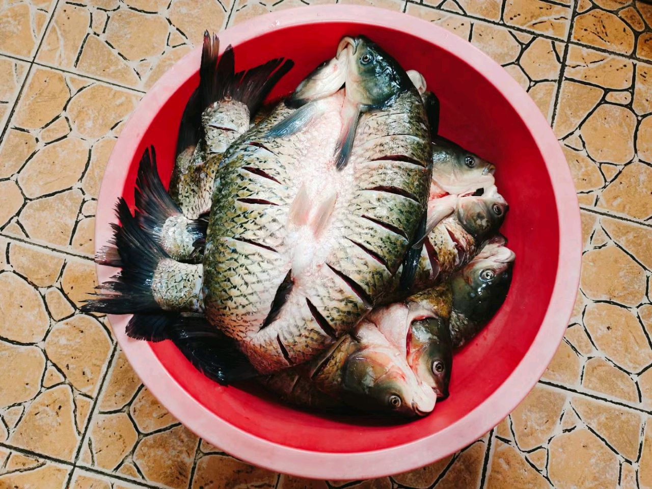 腊鱼