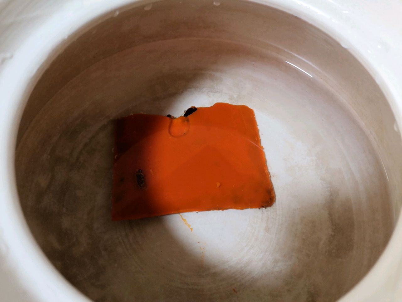 老火锅之降龙爪爪