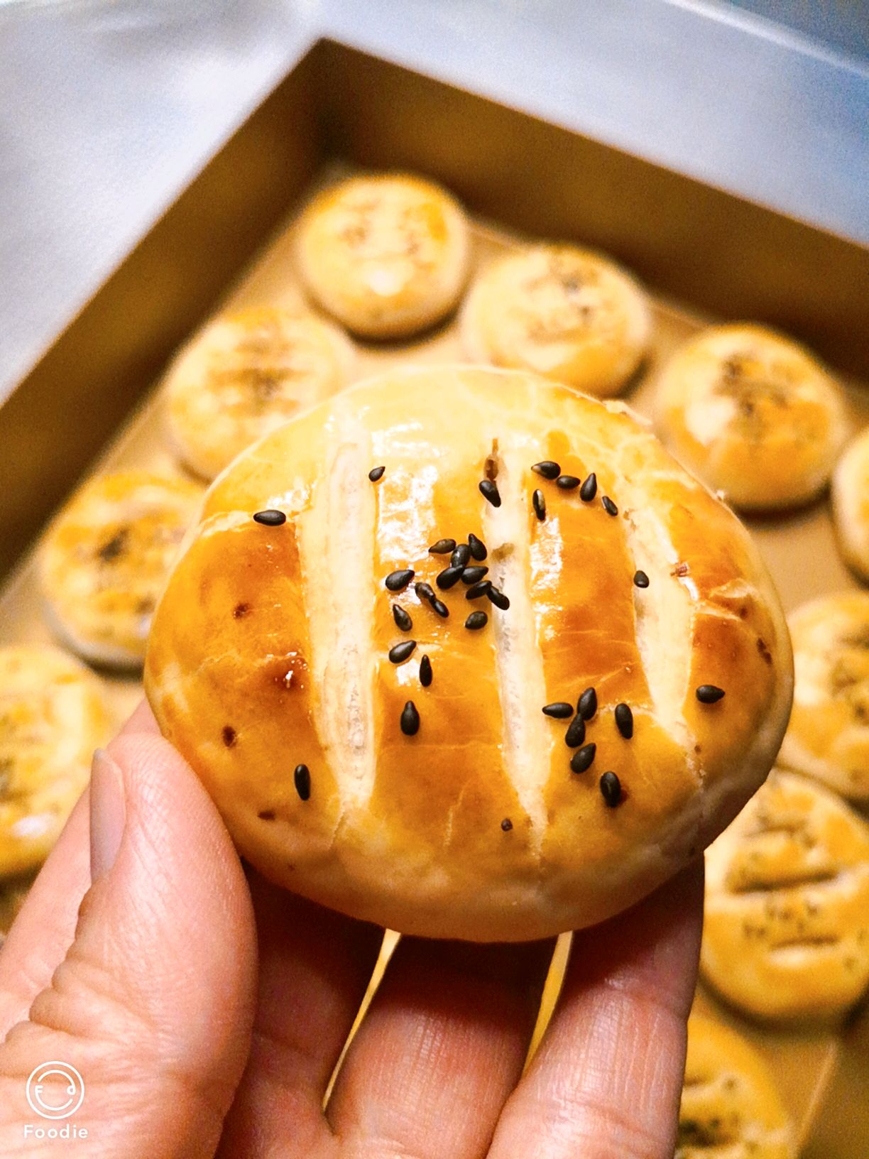 老婆饼（素油）