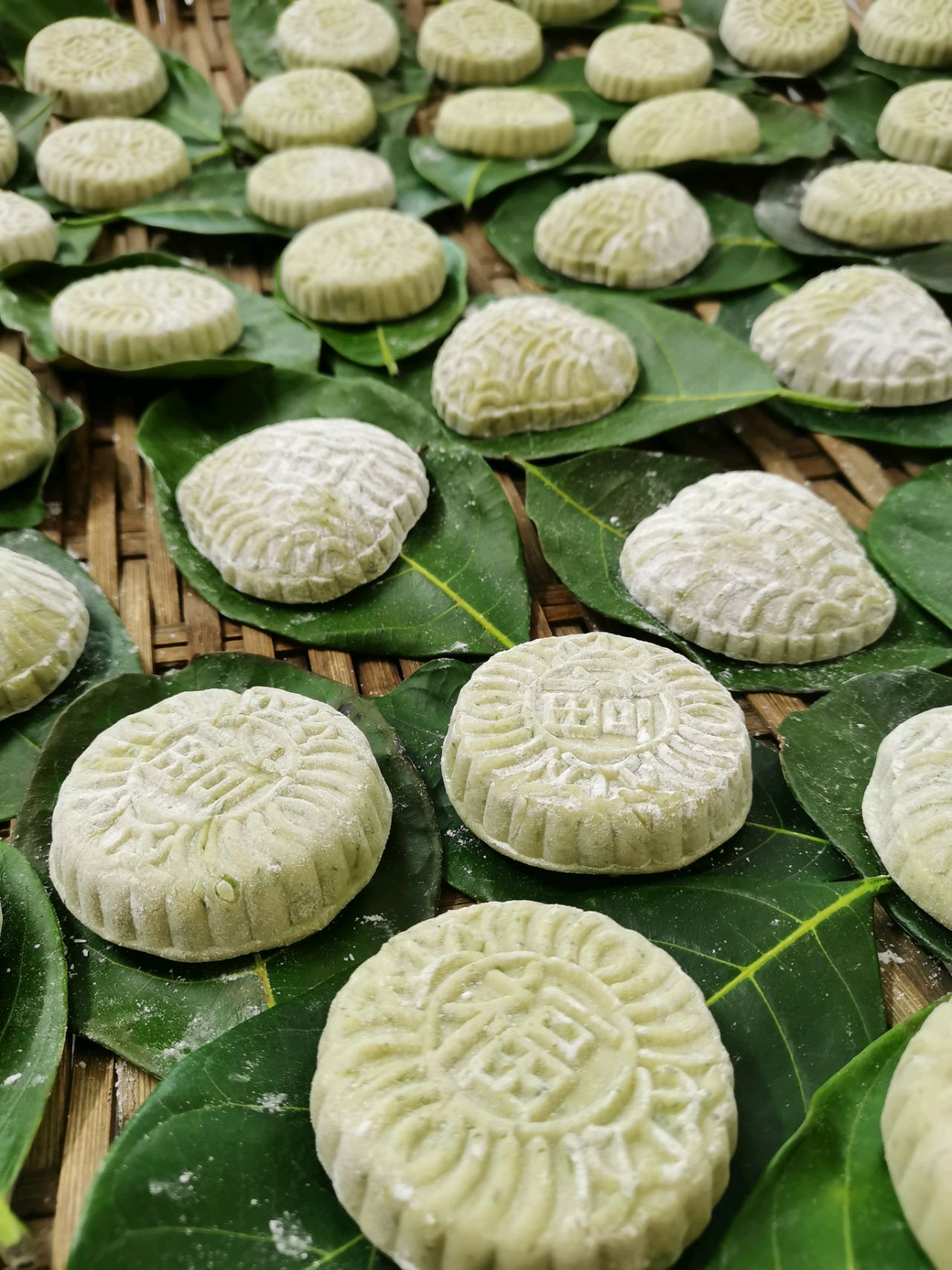 老鼠艾，艾糍，田艾糍，茂名小吃——艾籺，糯米籺