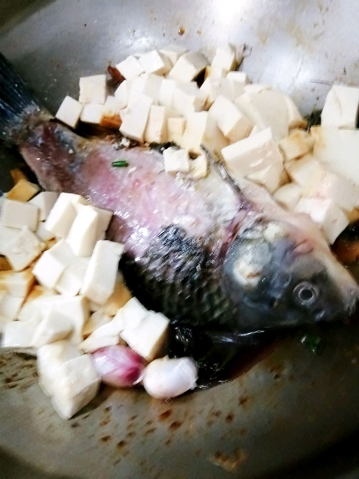 俪姐美食之鲤鱼喝饼