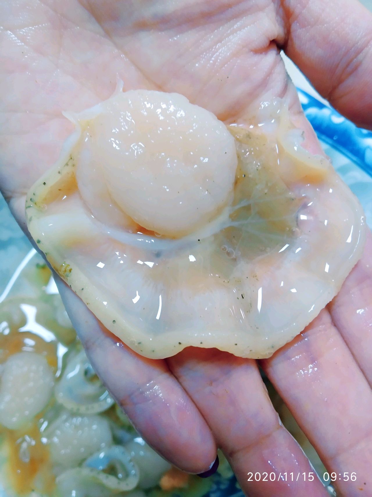 李氏海鲜饺子