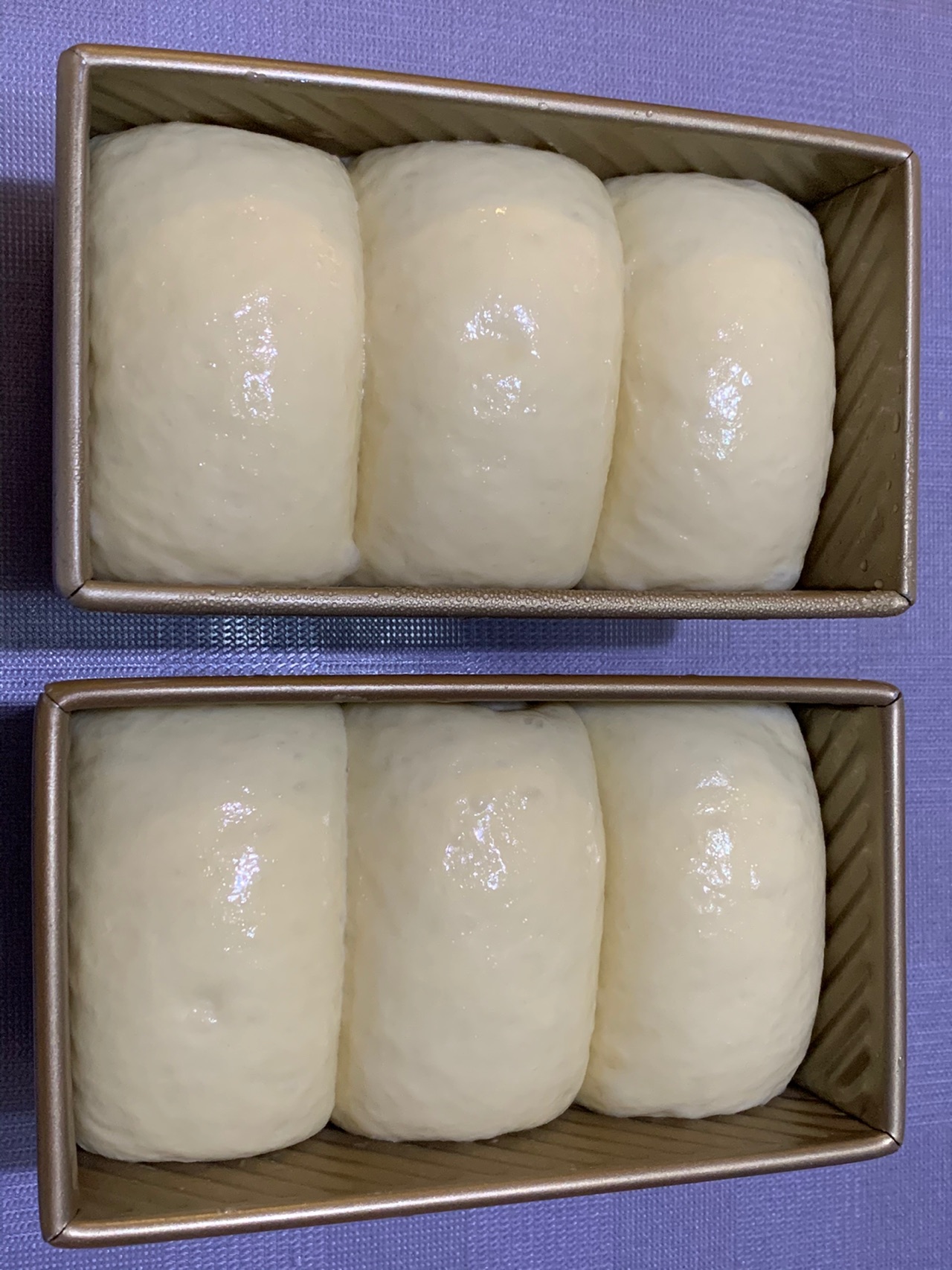 炼奶吐司（中种）