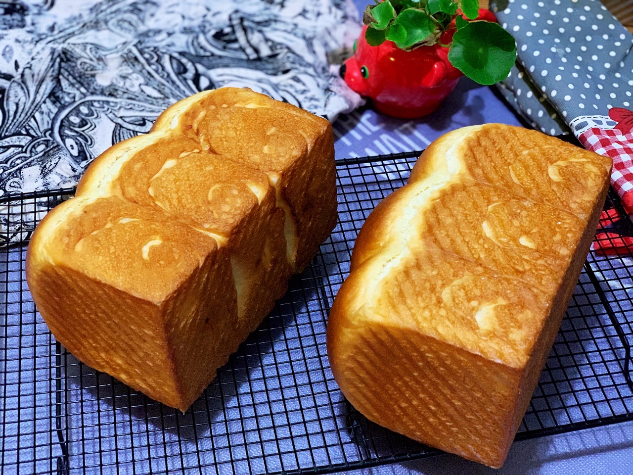 炼奶吐司（中种）