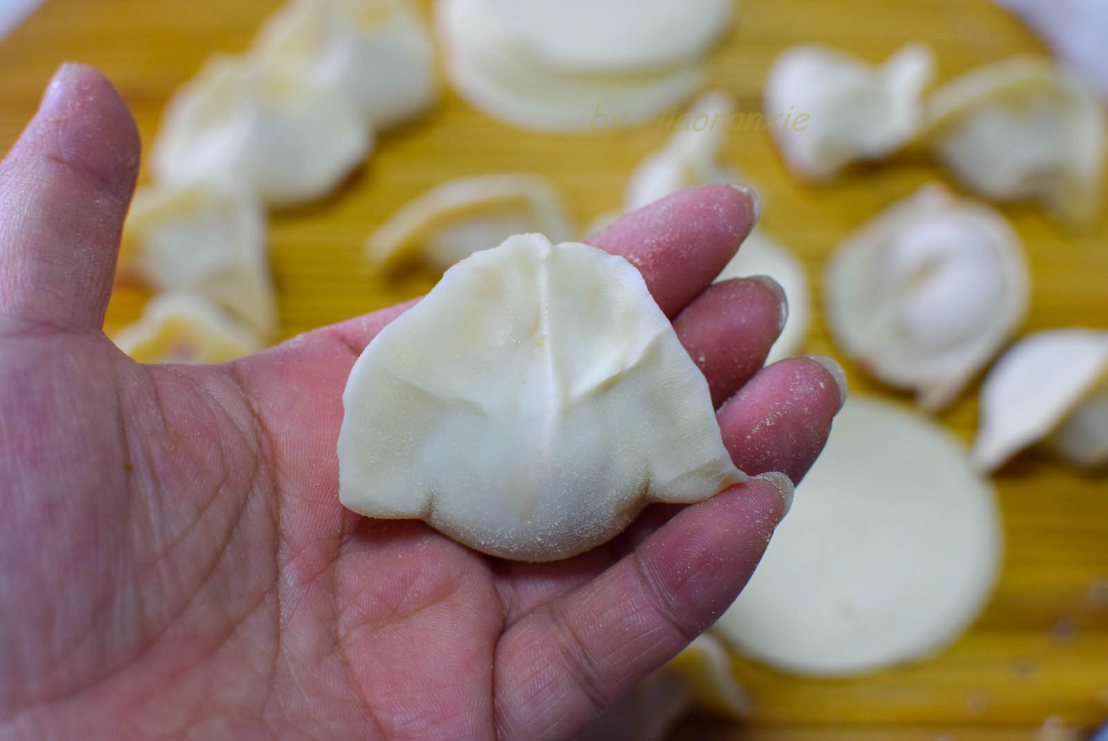 莲藕猪肉饺子