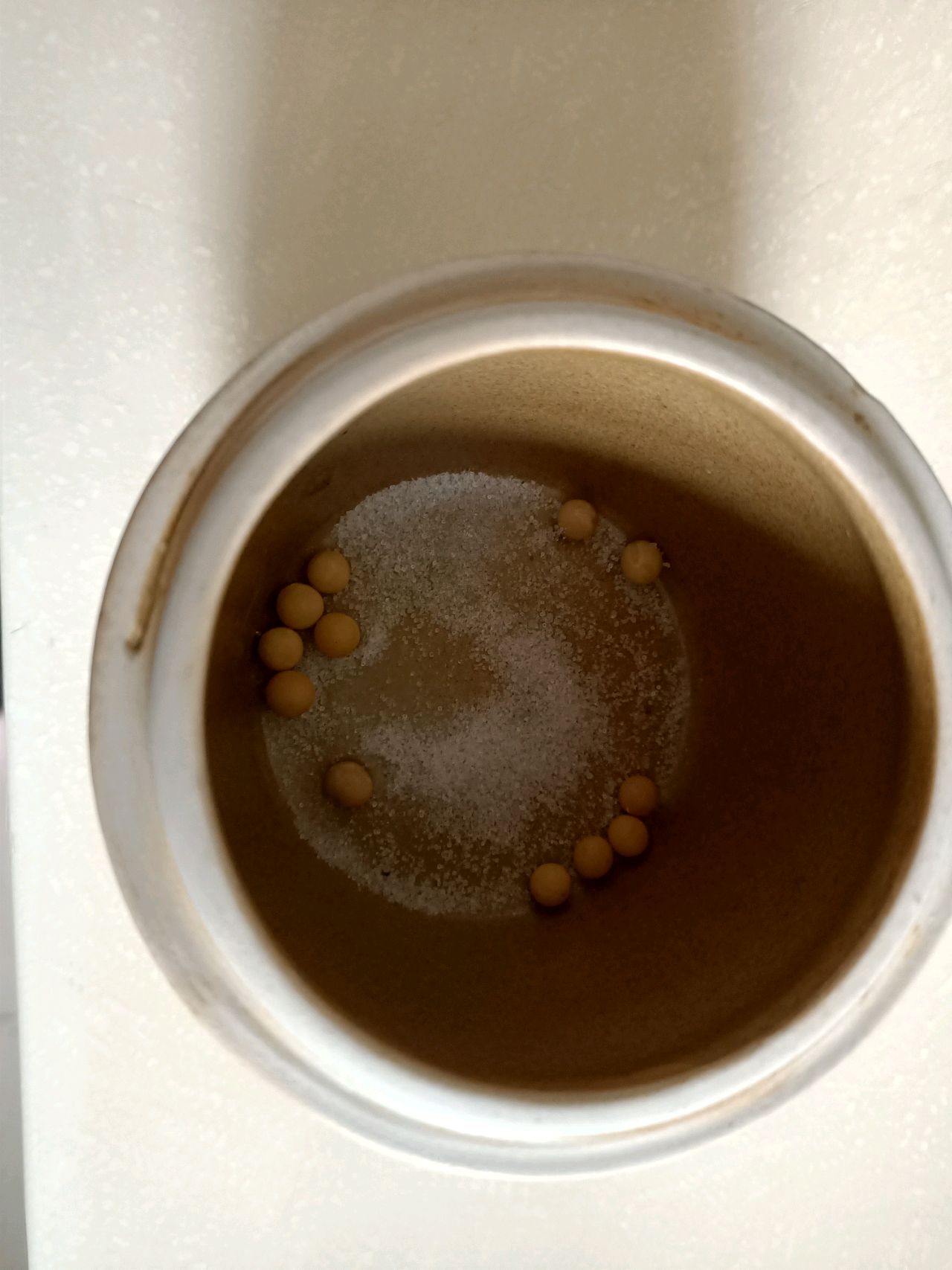 炼猪油