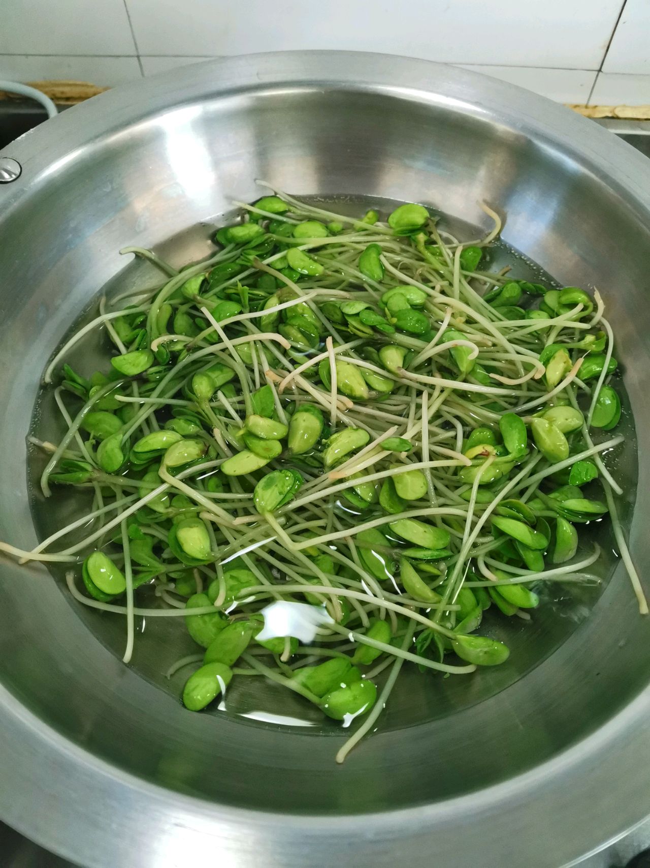 凉拌黑豆芽