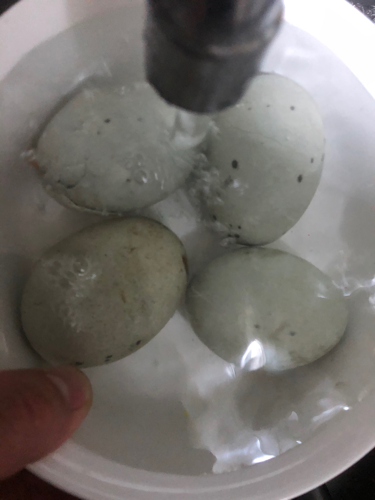 凉拌皮蛋