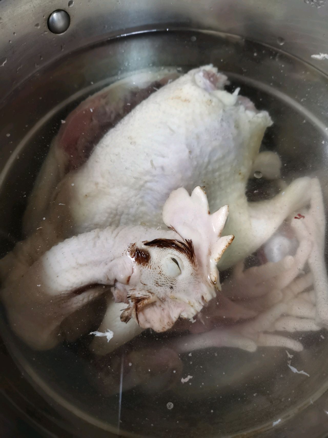 凉拌手撕鸡