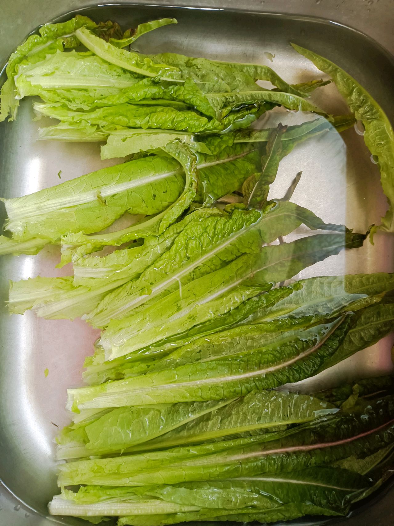 凉拌莴苣