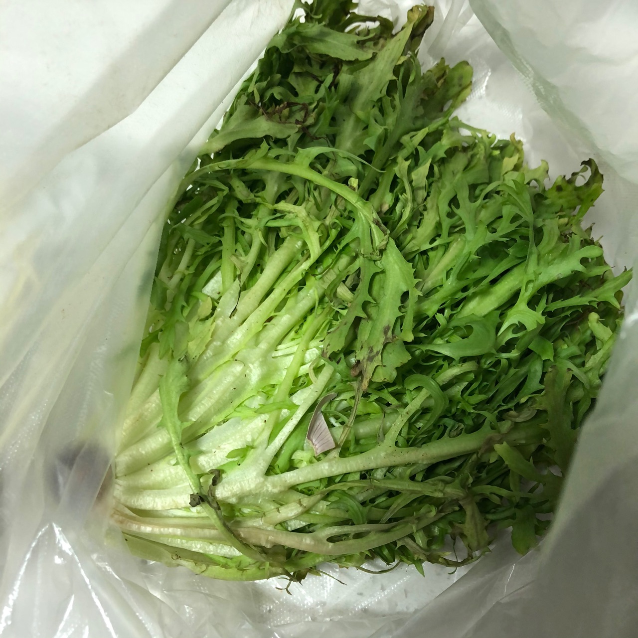 凉面