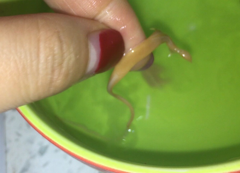 零失败的奶香太妃糖