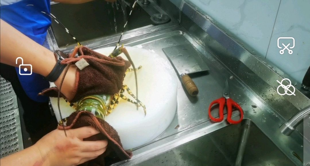龙虾处理定型摆盘