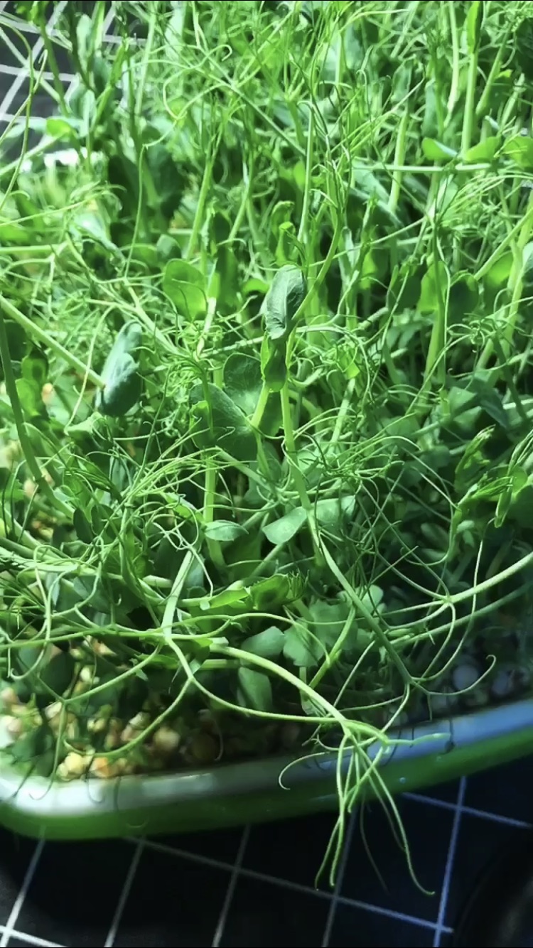 龙须菜鸡蛋汤