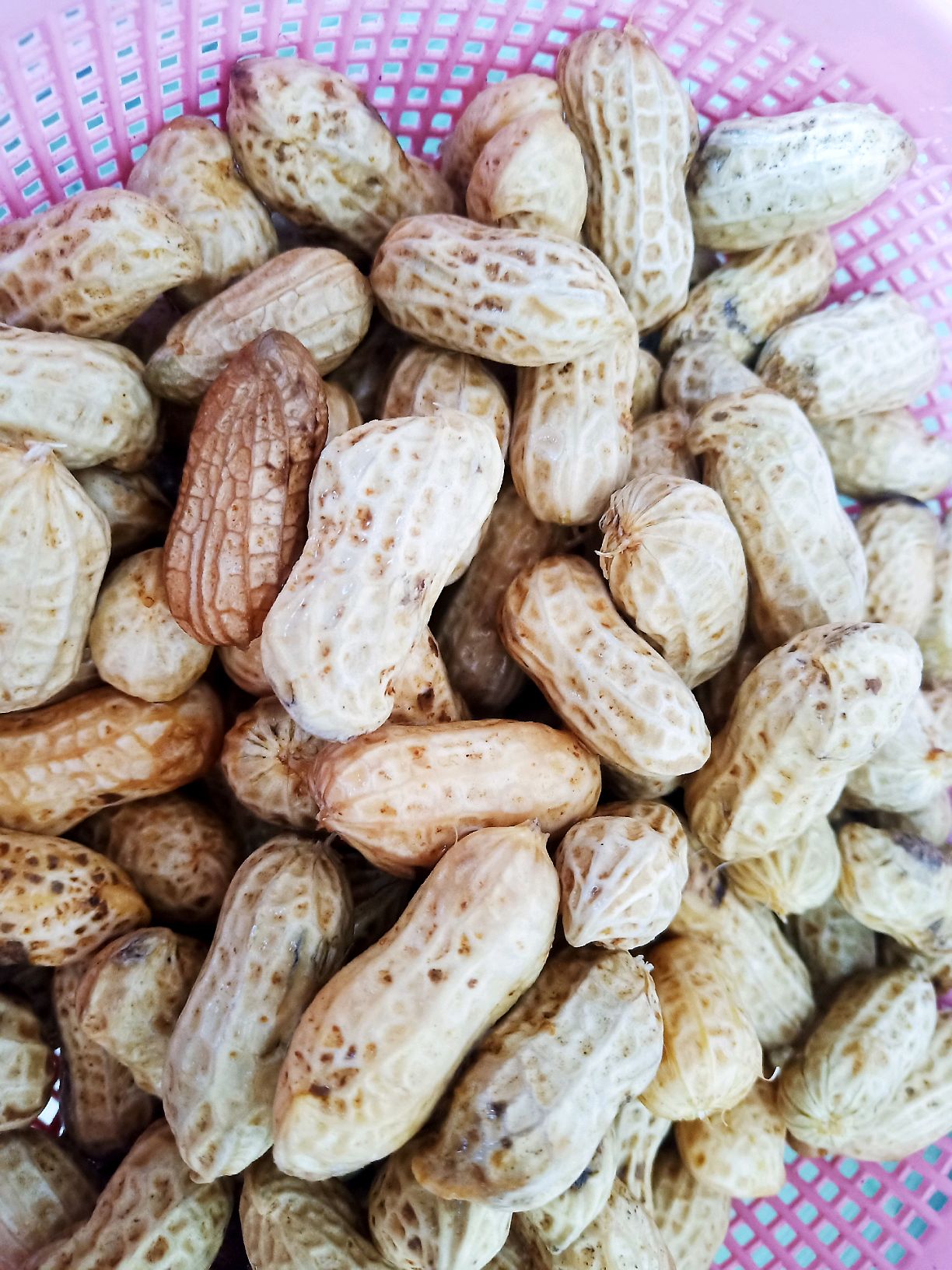 卤味全家福