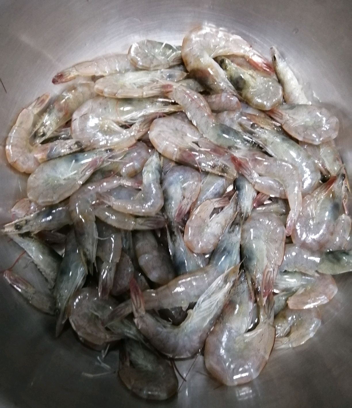 萝卜粉丝炖虾