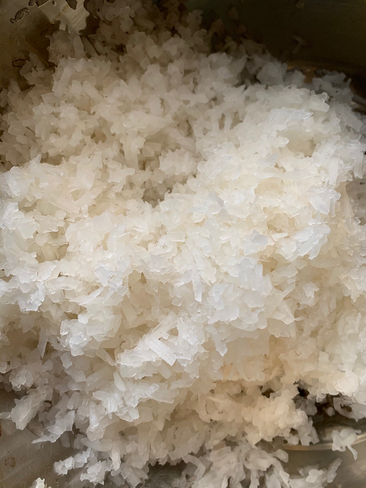 萝卜饺子