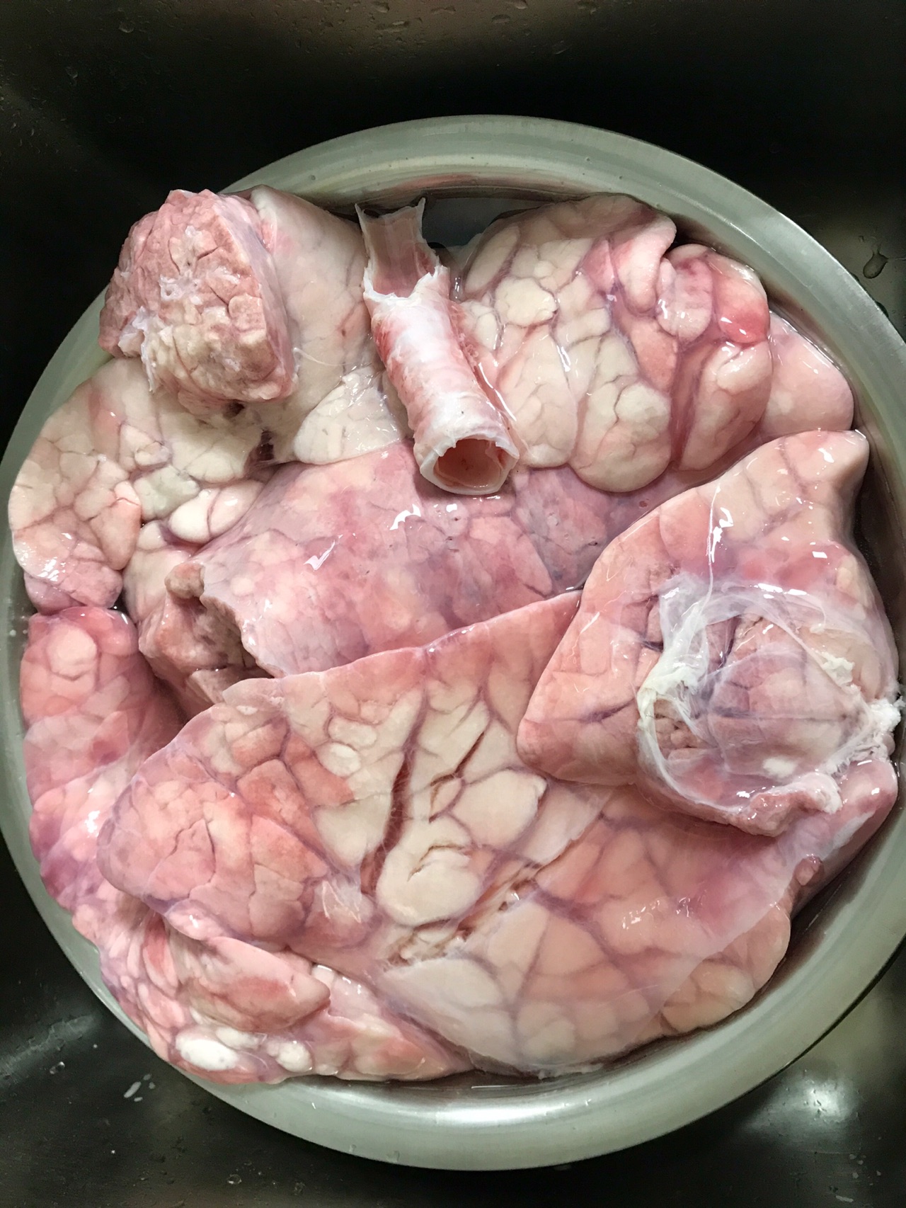 绿豆炖猪肺