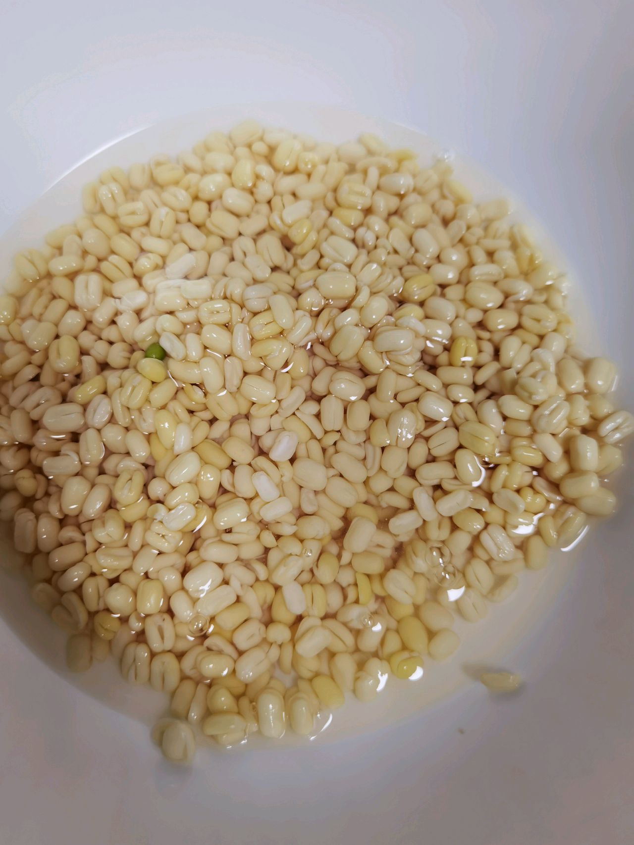 绿豆丸子