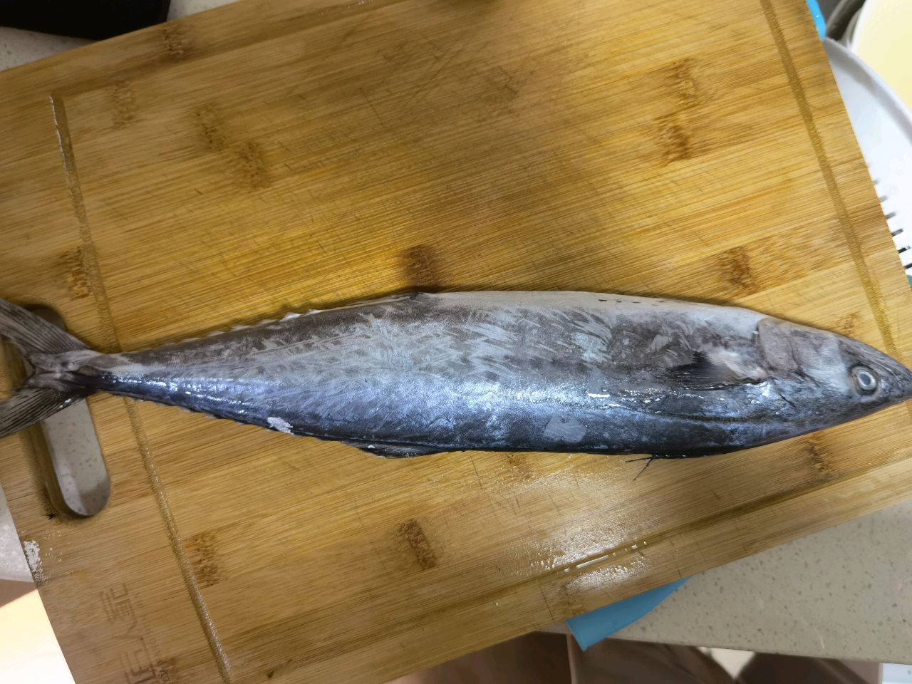 马鲛鱼虾仁大馄饨