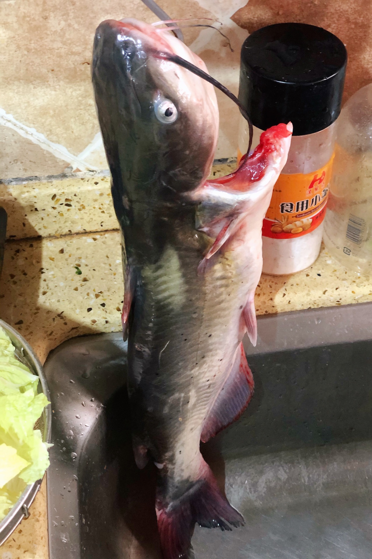 麻辣鮰鱼