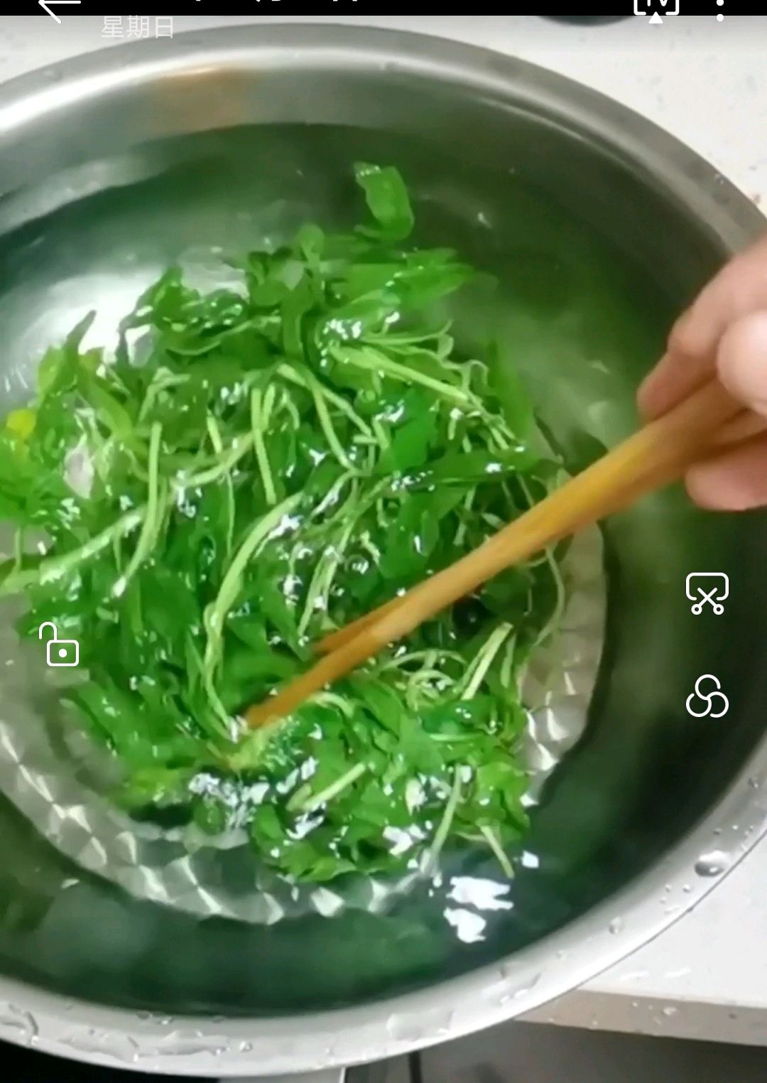 马兰头鲜肉大馄饨