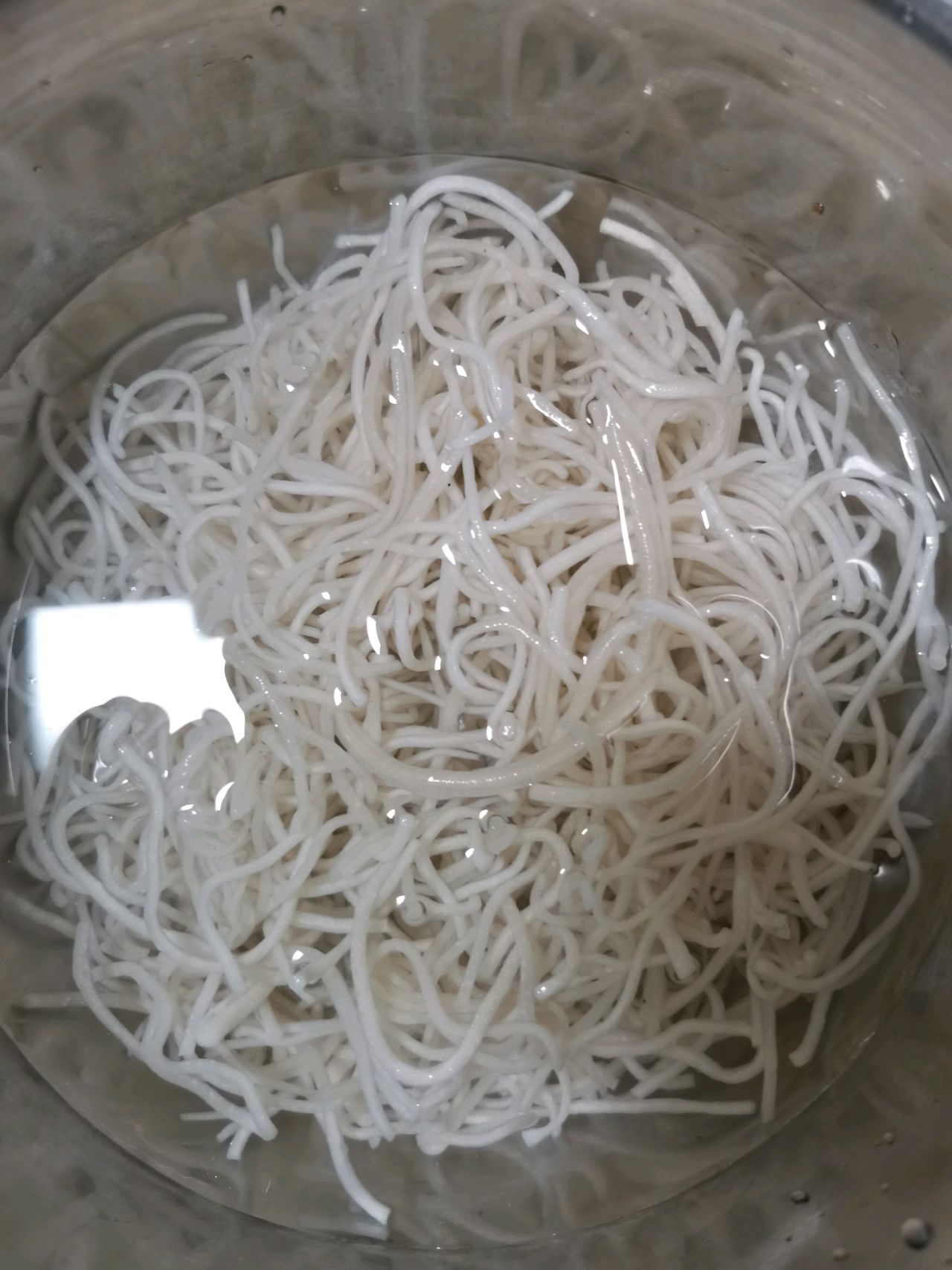 妈妈的味道～大蒜叶炒苕粉