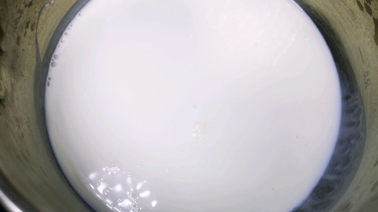 马沙巧克力