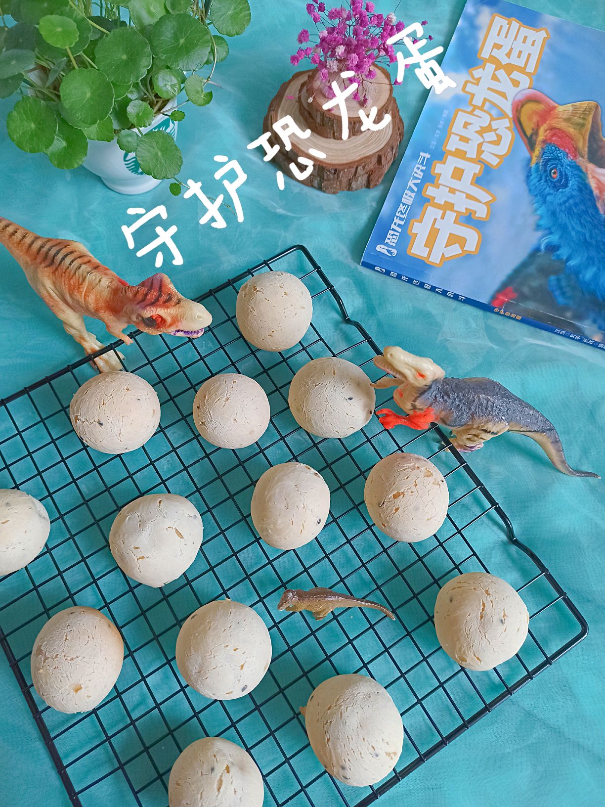 麻薯恐龙蛋