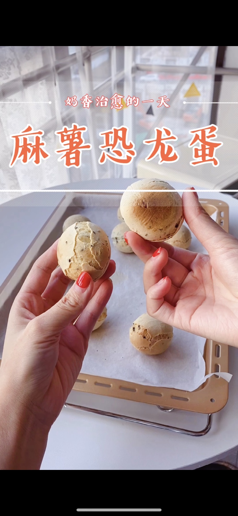 麻薯恐龙蛋带你走近原始森林