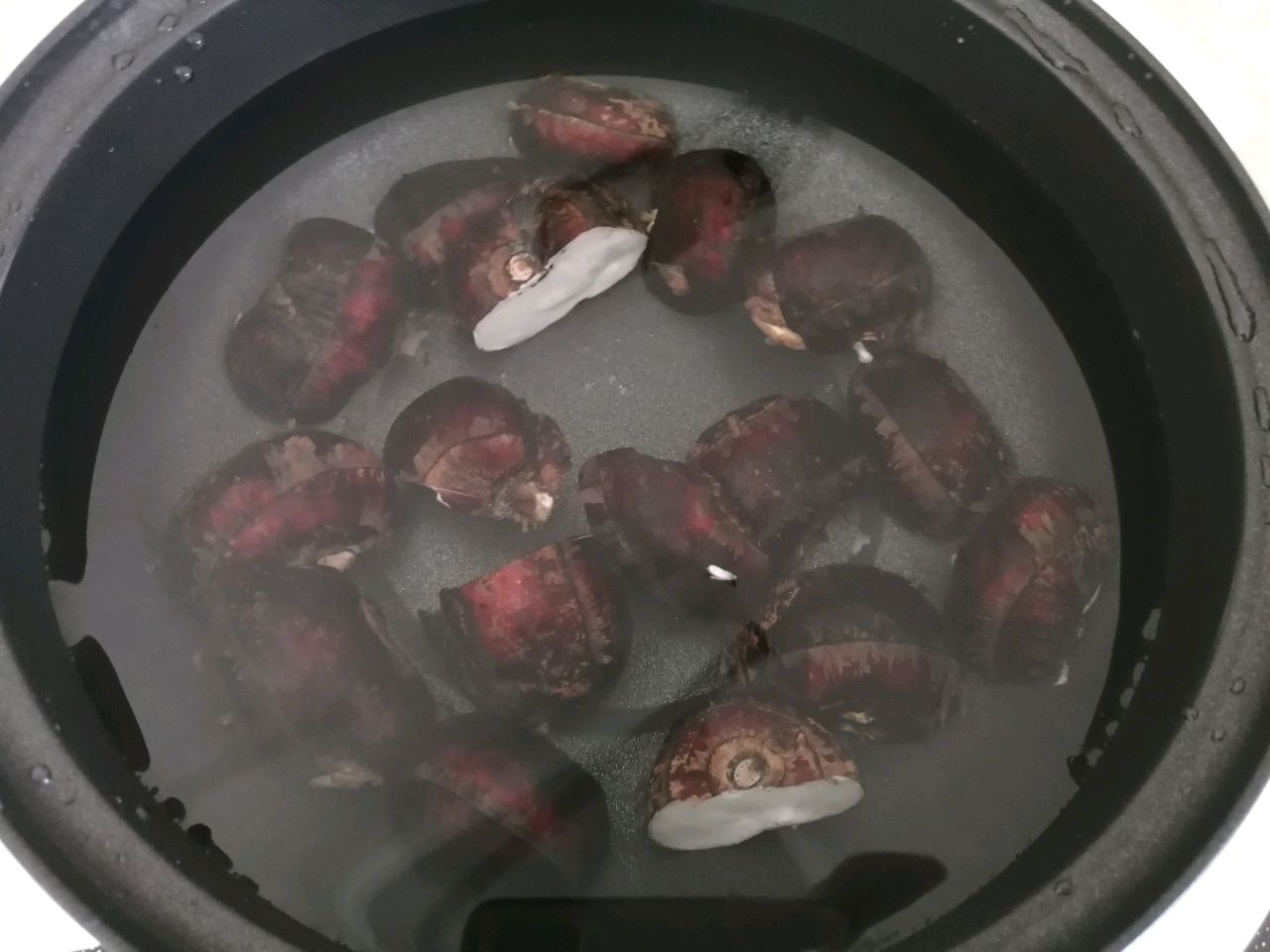 马蹄水