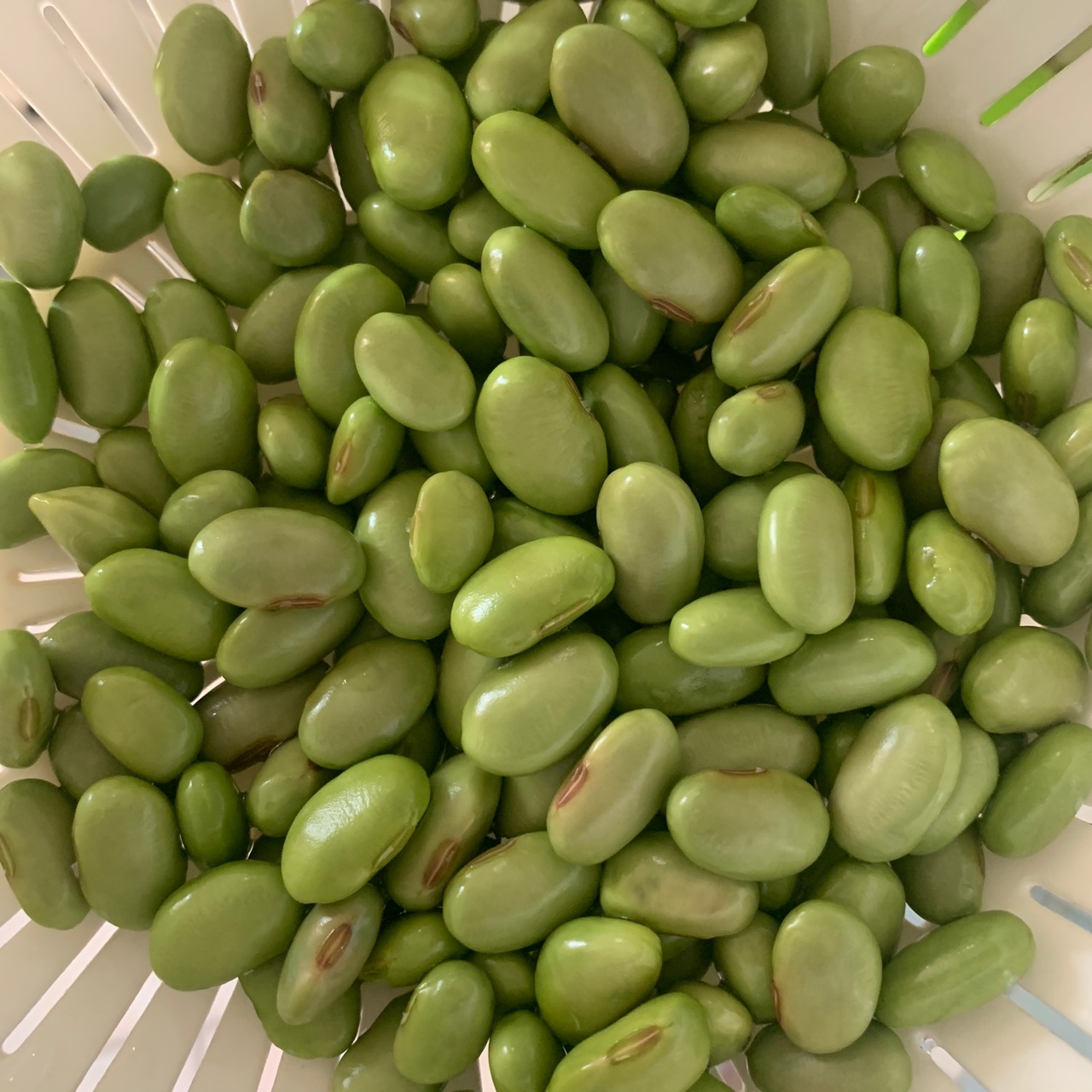 毛豆芋艿烧鸡汤