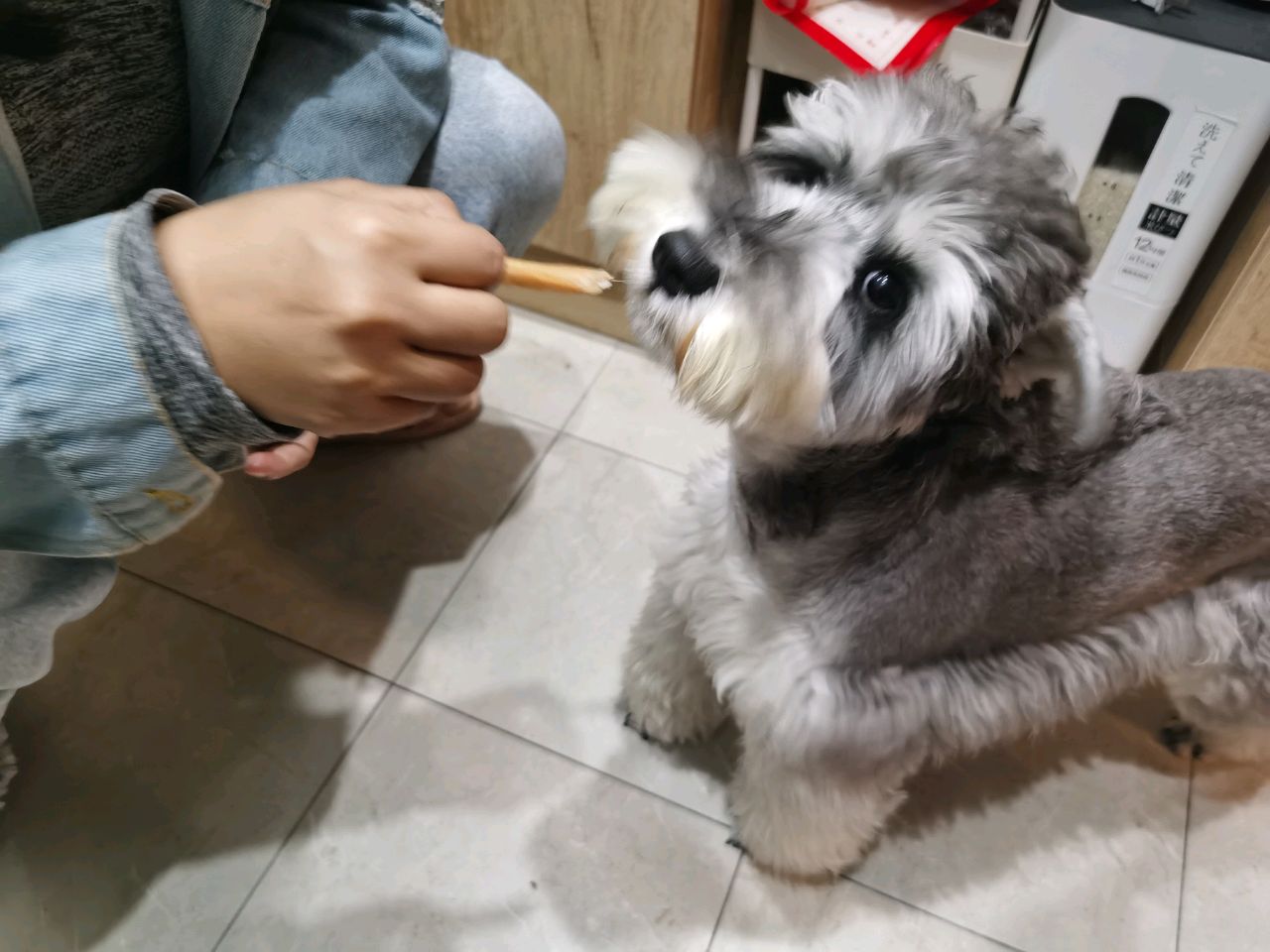猫狗爱吃的风干零食