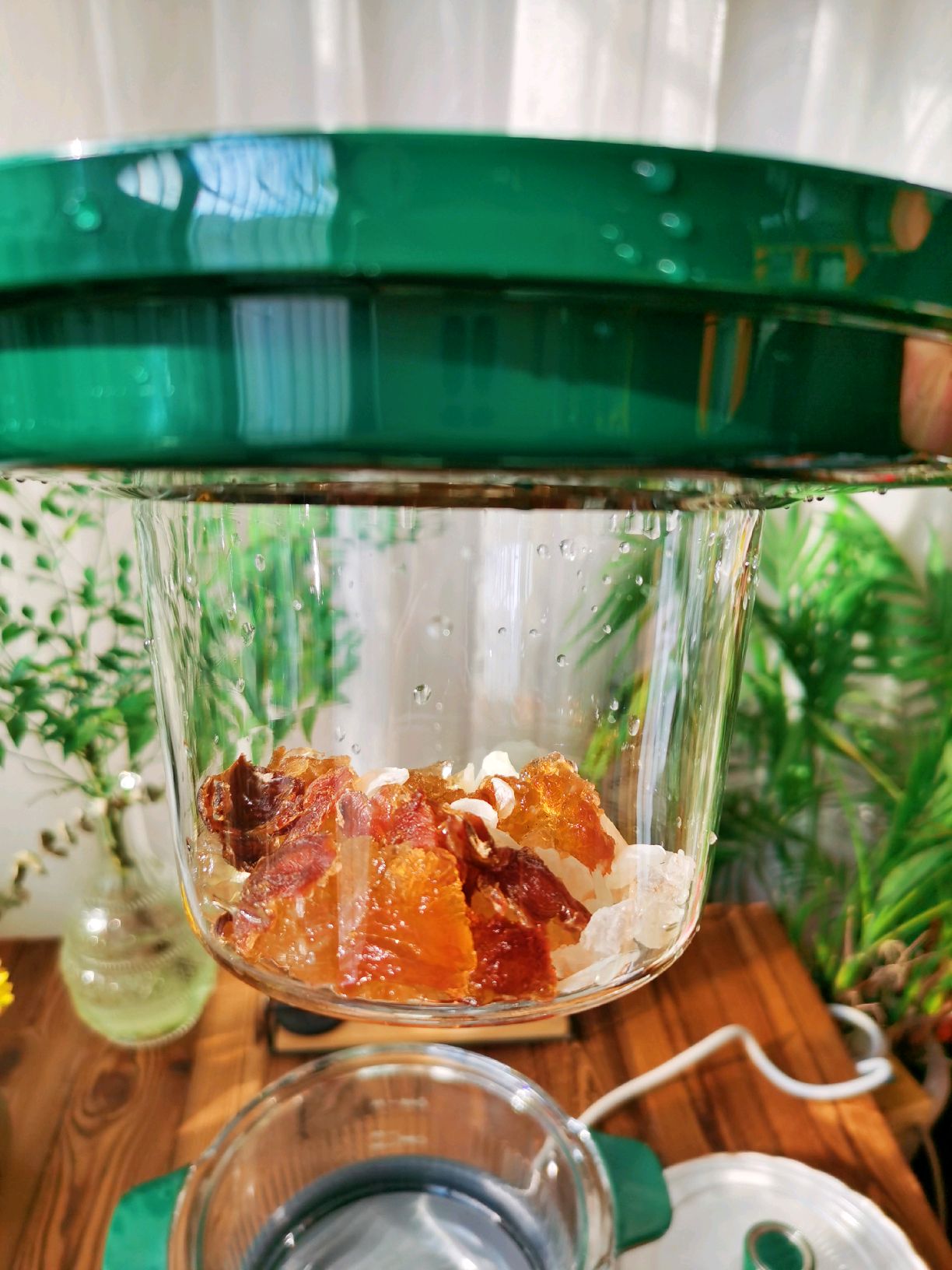 美白养颜～牛奶桃胶皂角米炖雪燕