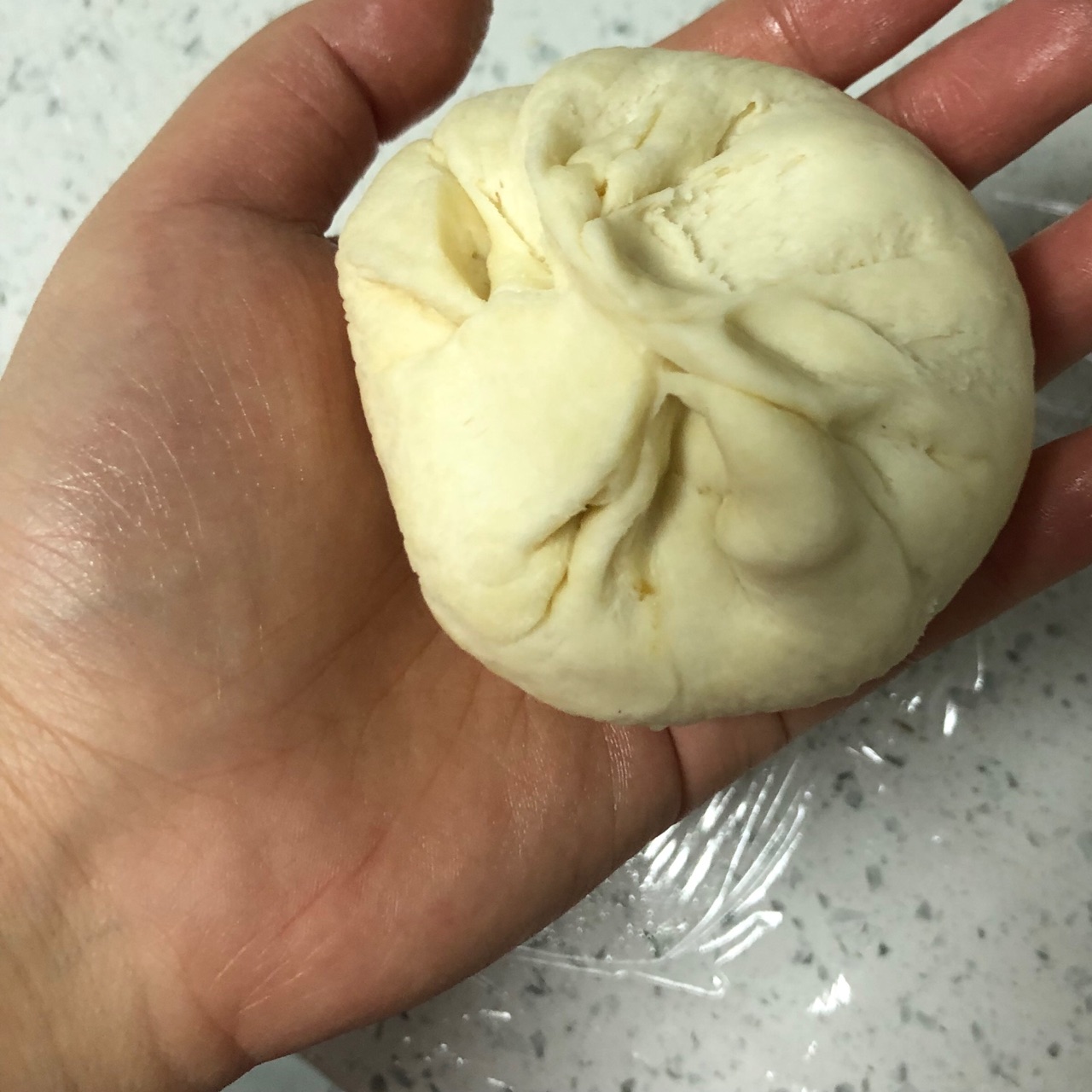 梅菜鲜肉锅块