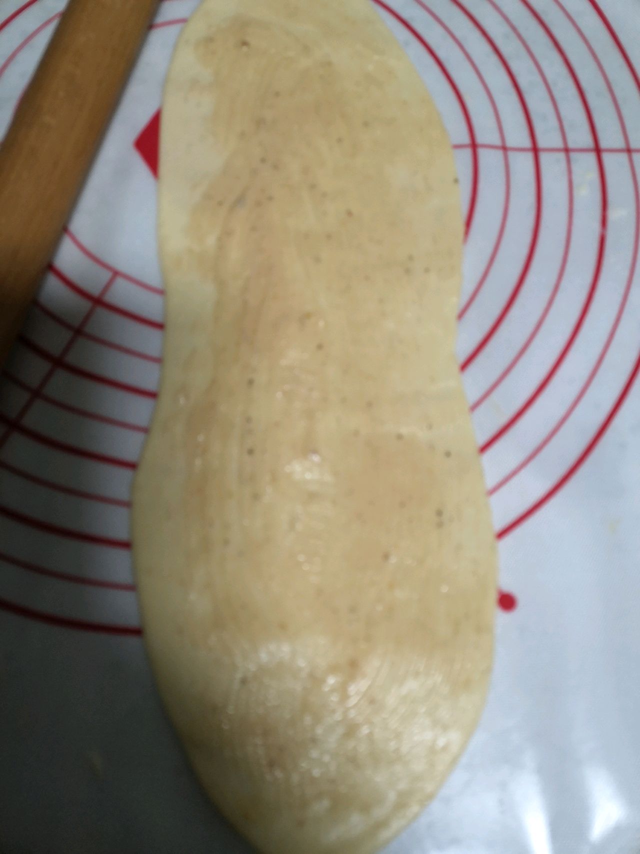 梅干菜鲜肉锅盔