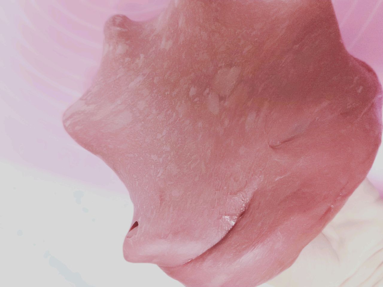 玫瑰花面包