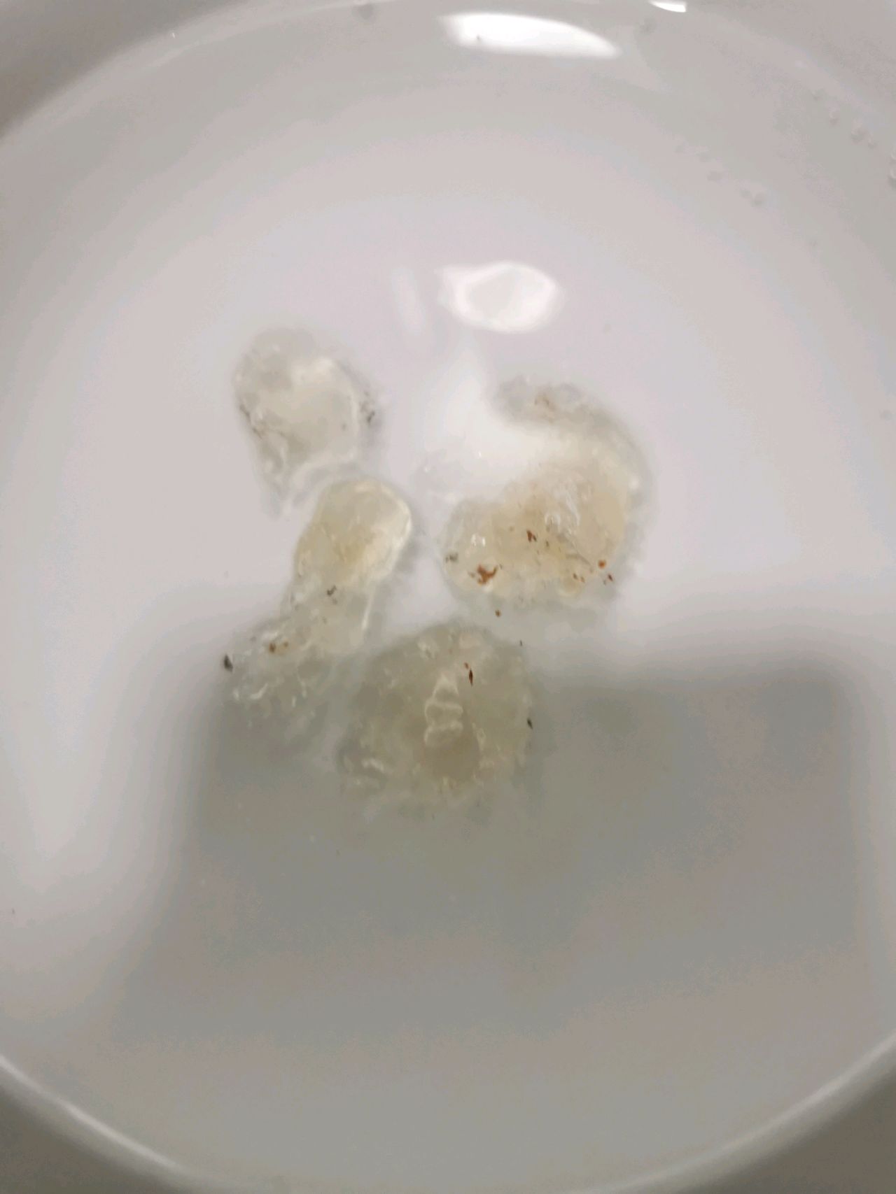 美容养颜篇——银耳桃胶燕窝羹