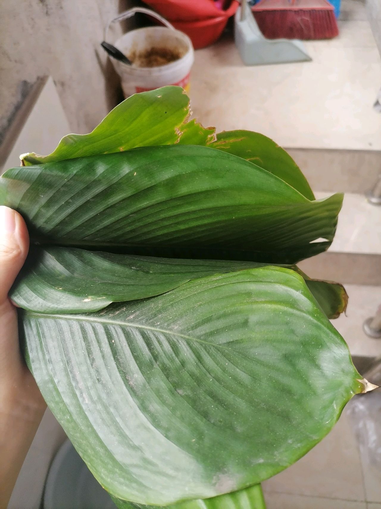 美味艾糍粑