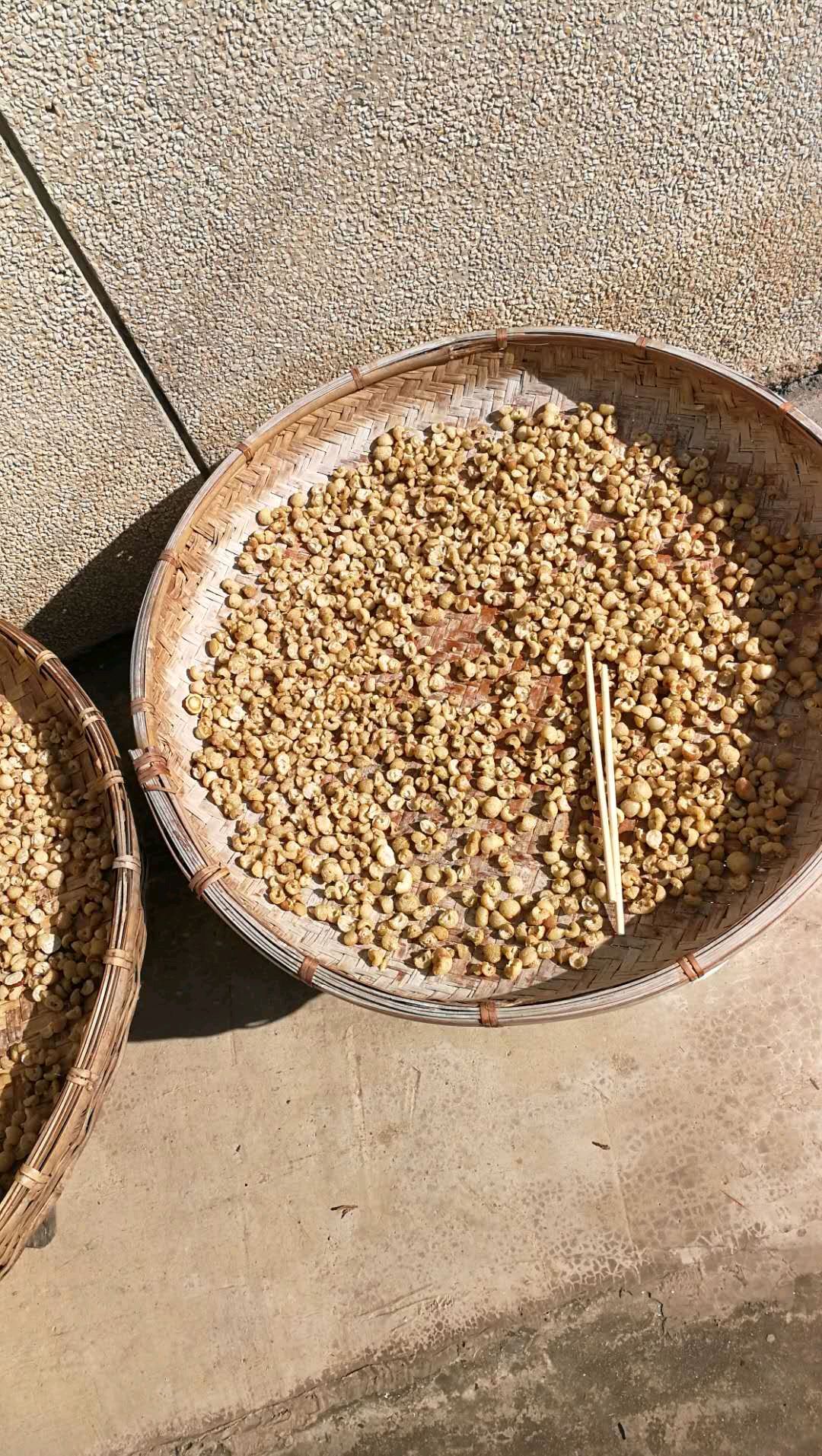 蜜饯橄榄果脯