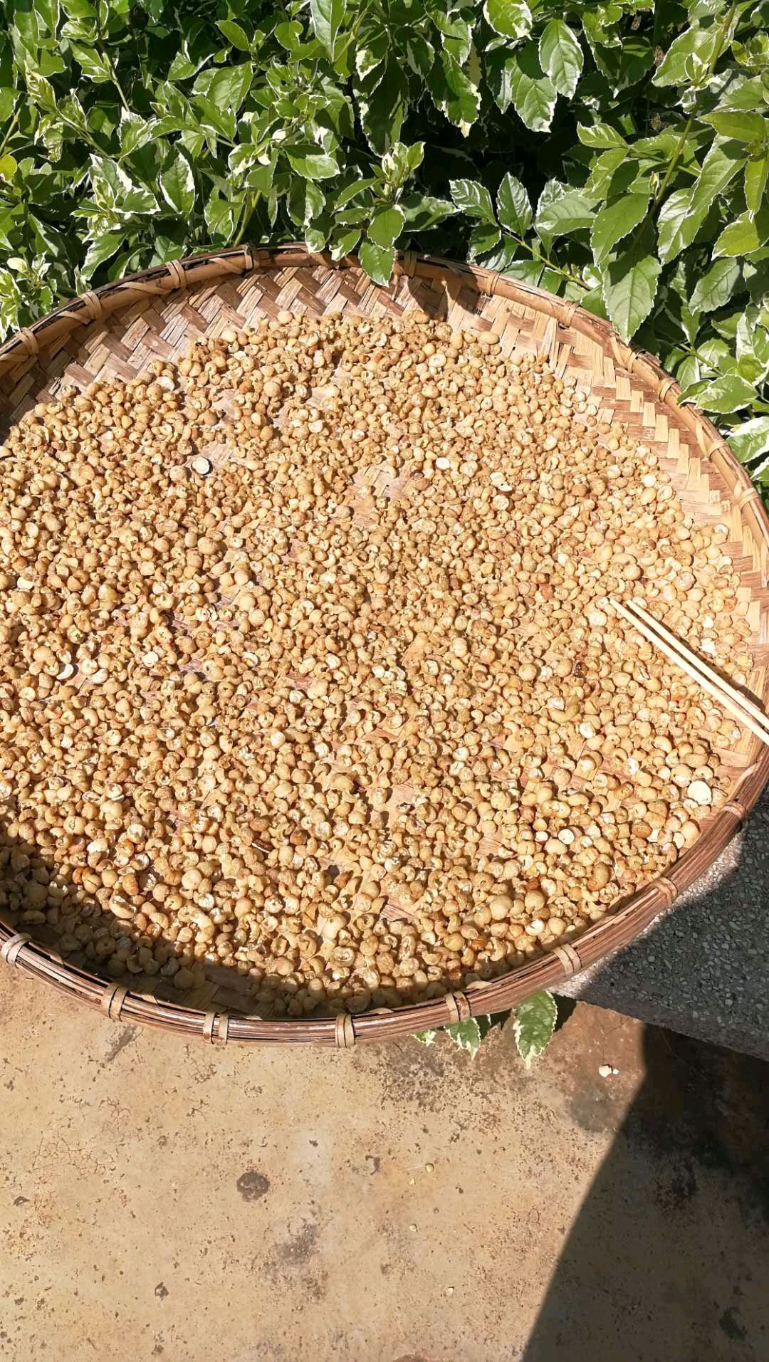 蜜饯橄榄果脯