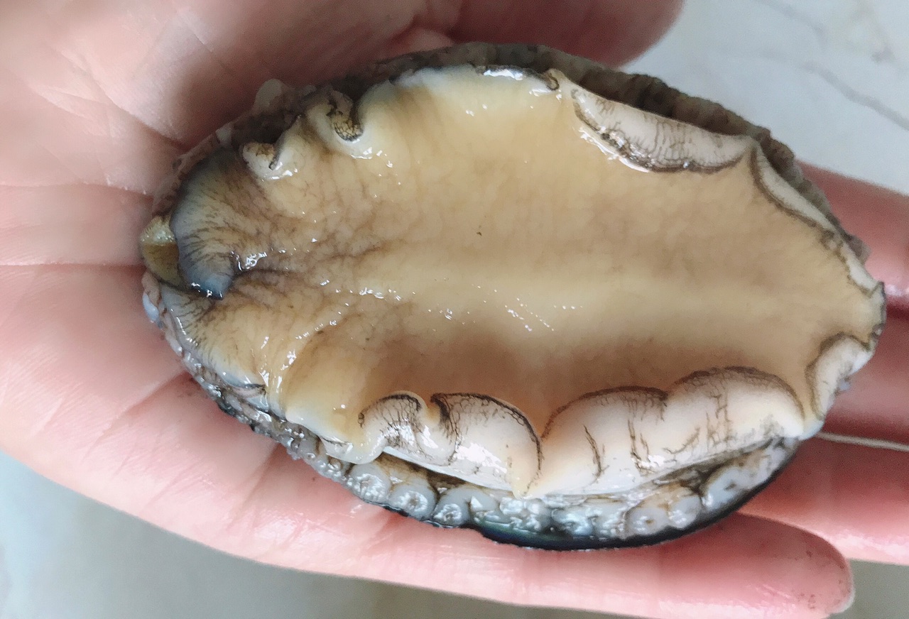 蜜汁鲍鱼