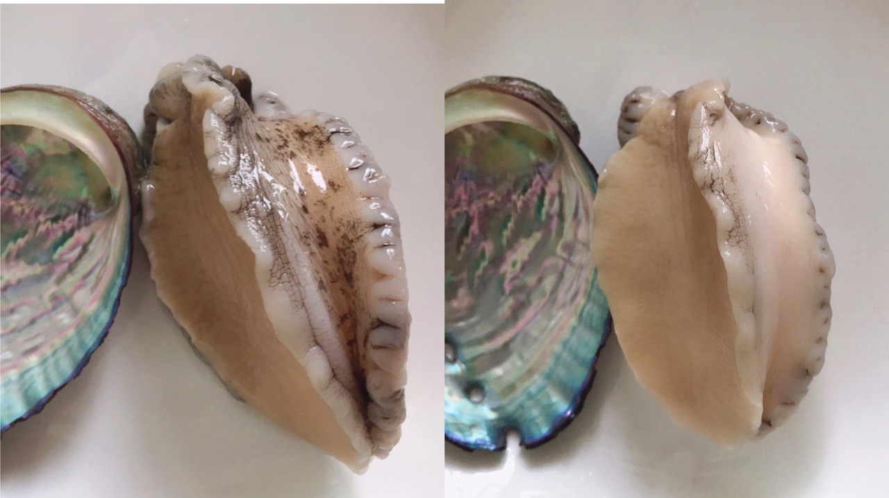 蜜汁鲍鱼