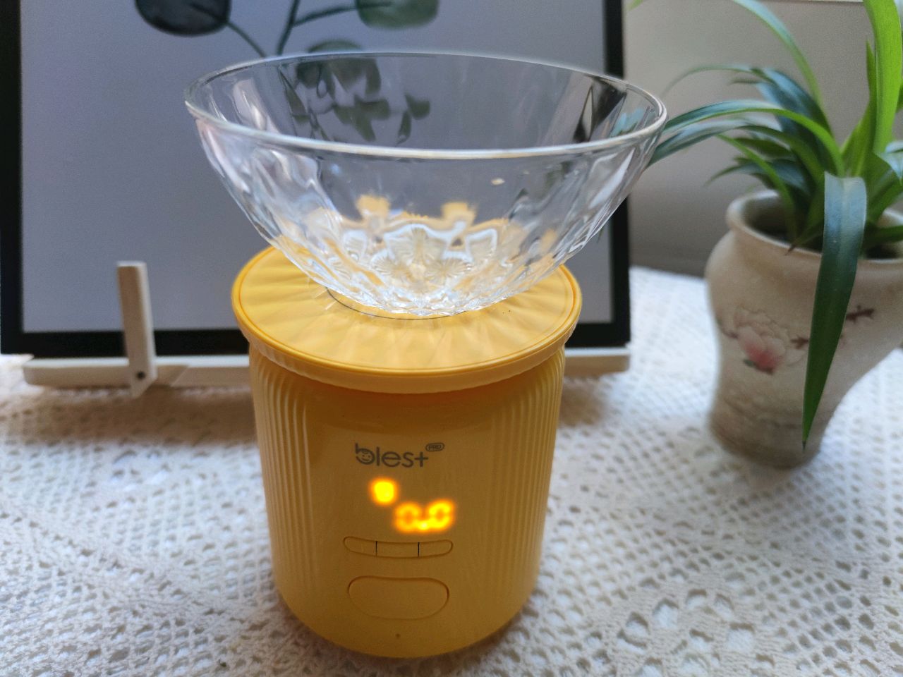 秘制蒜蓉辣椒酱