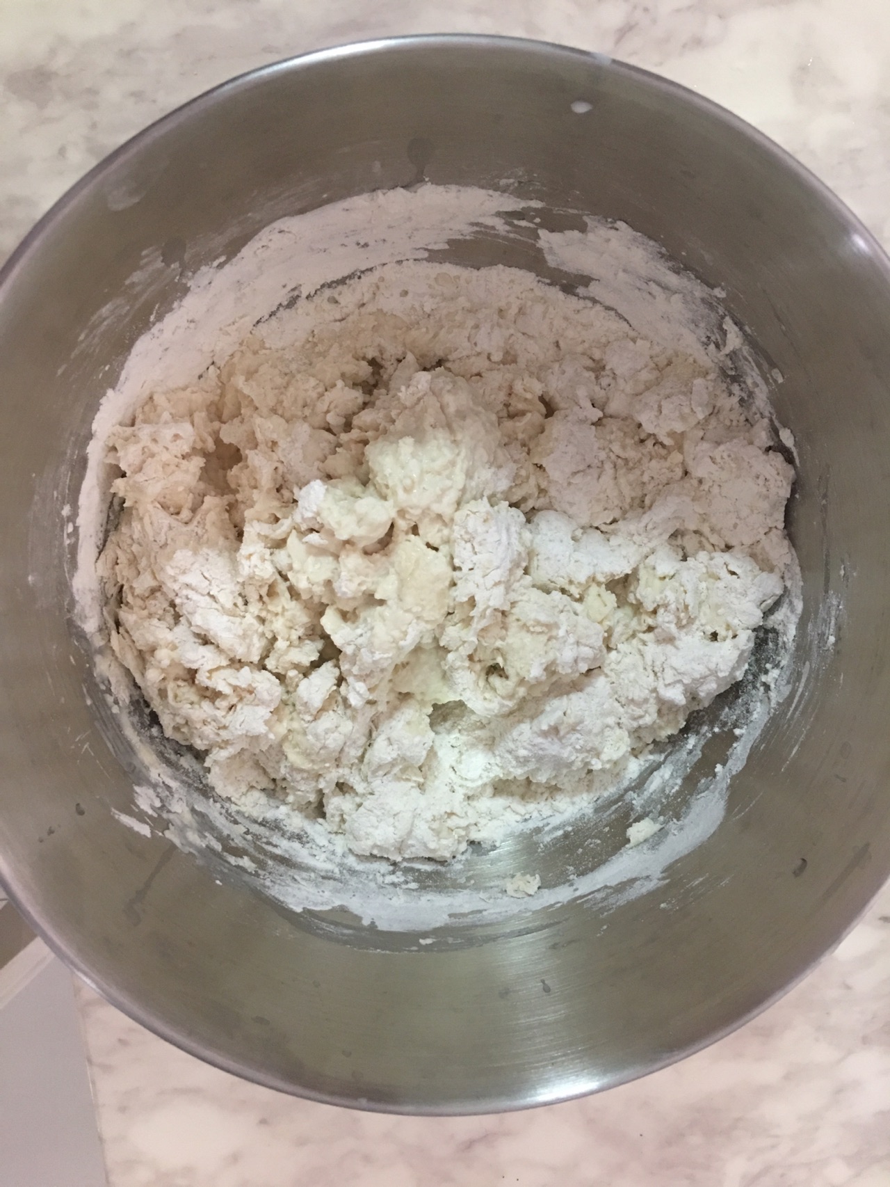 秘制香菜牛肉包