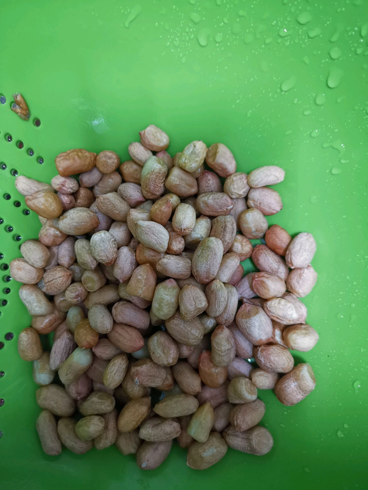 闽南炸紫菜