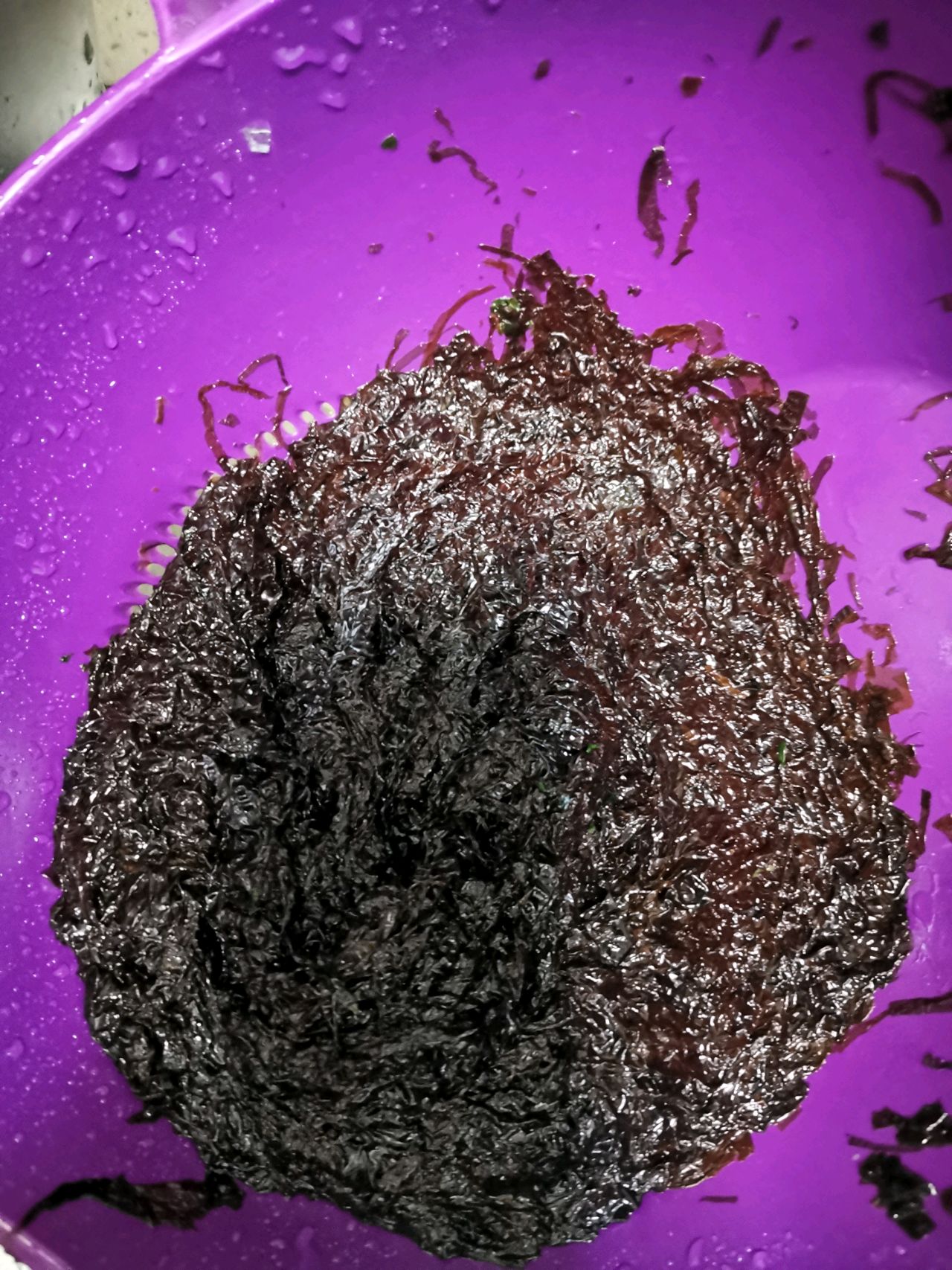 闽南炸紫菜