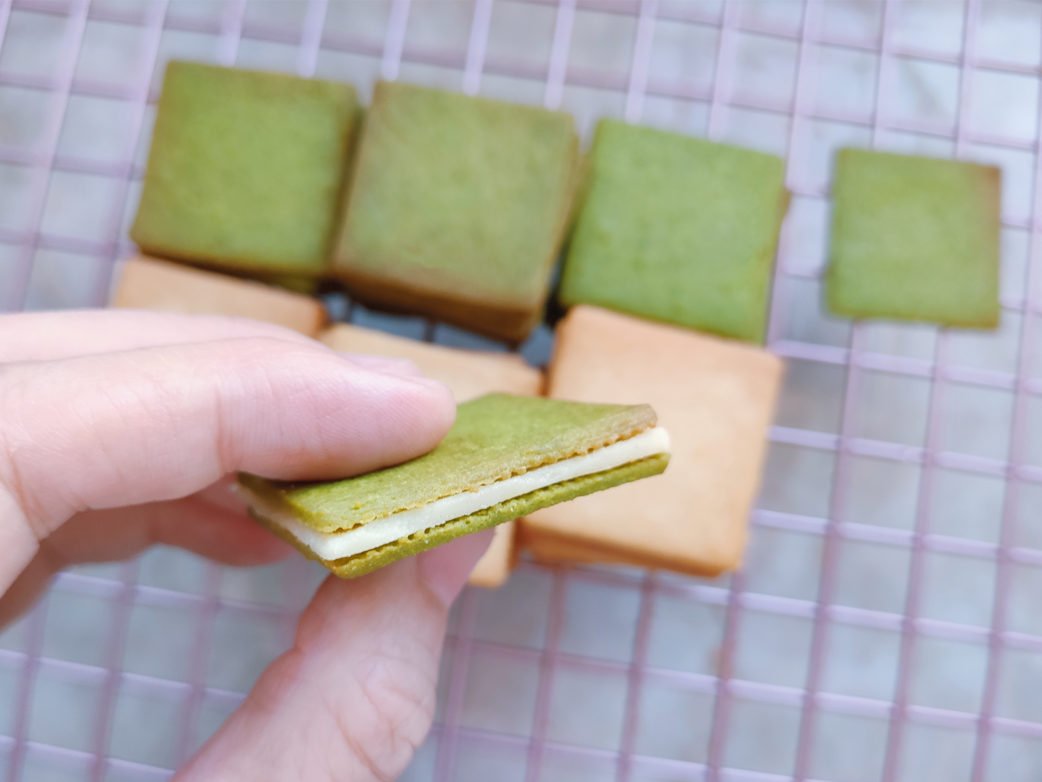 抹茶&原味白色恋人饼干